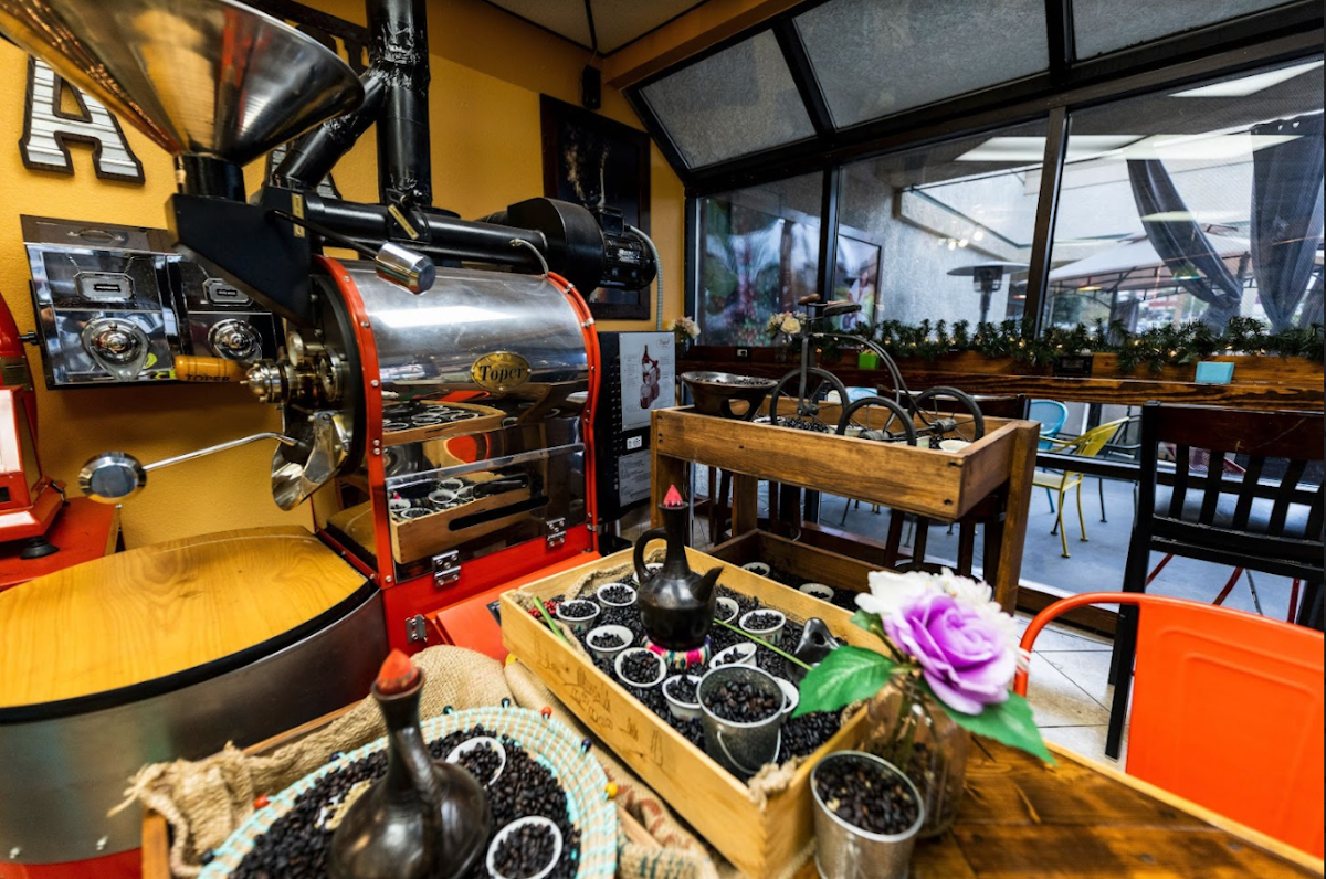 The Java Tree - Roasters, Cafe, And Bakery